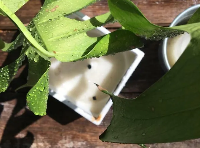 Ferienhaus Marziani Rustic Tuscan House